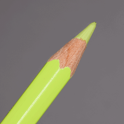 Spring Green Caran d'Ache Pablo Colour Pencil (470)