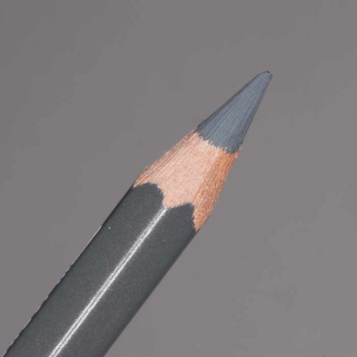 Slate Grey Caran d'Ache Pablo Colour Pencil (495)