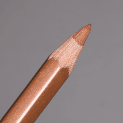 Bronze Caran d'Ache Pablo Colour Pencil (497)