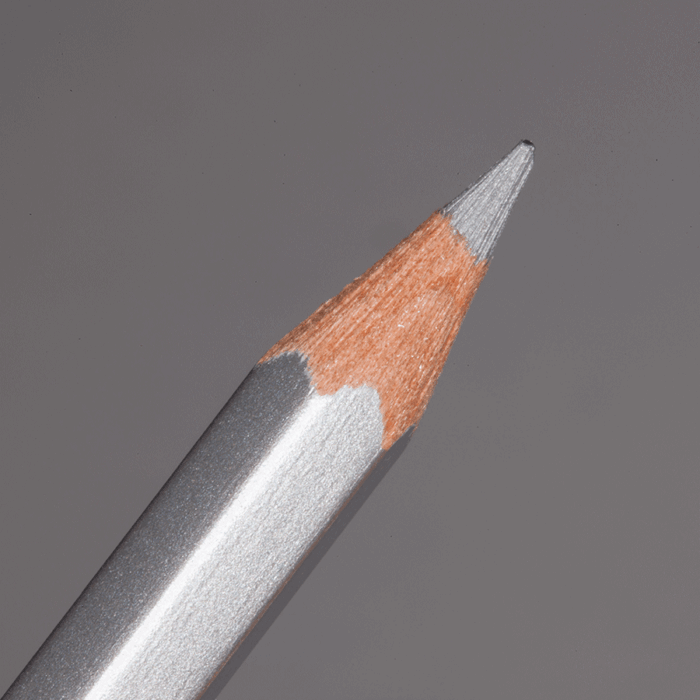 Silver Caran d'Ache Pablo Colour Pencil (498)