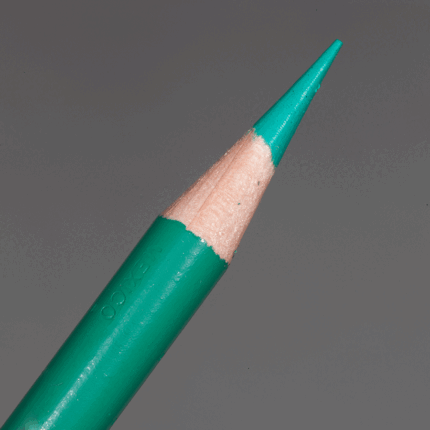 Parrot Green Prismacolor Premier Colour Pencil (PC1006)