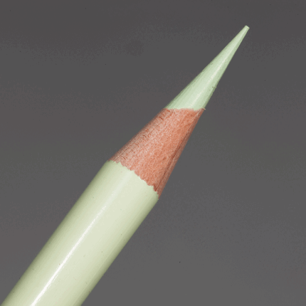 Pale Sage Prismacolor Premier Colour Pencil (PC1089)