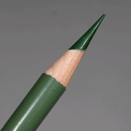 Kelp Green Prismacolor Premier Colour Pencil (PC1090)