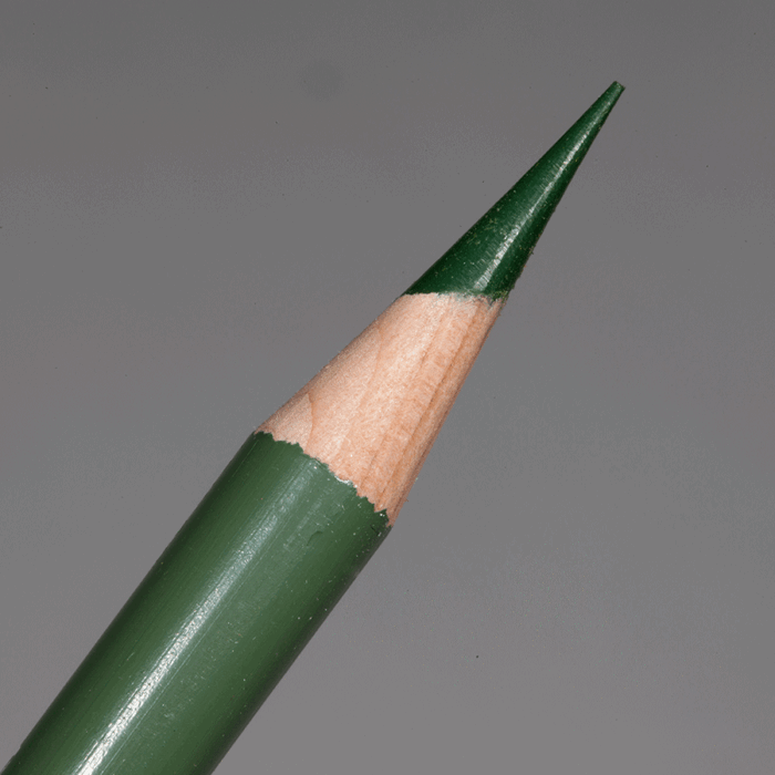 Kelp Green Prismacolor Premier Colour Pencil (PC1090)