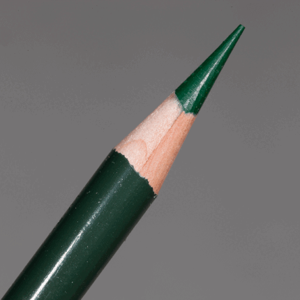 Dark Green Prismacolor Premier Colour Pencil (PC908)