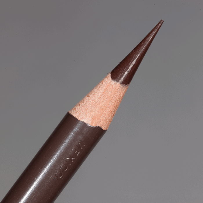 Dark Umber Prismacolor Premier Colour Pencil (PC947)