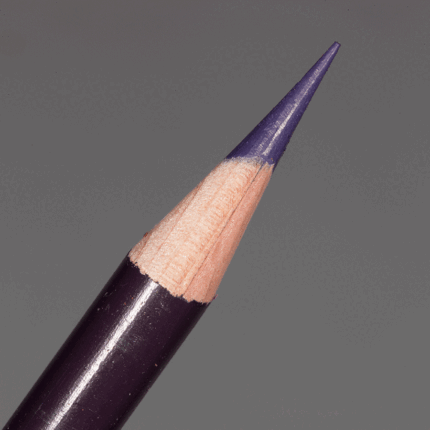 Black Grape Prismacolor Premier Colour Pencil (PC996)