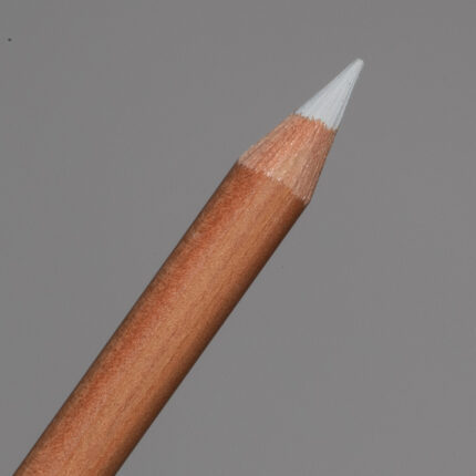 Light Grey Warm Lyra Rembrandt Polycolor Coloured Pencil (195)