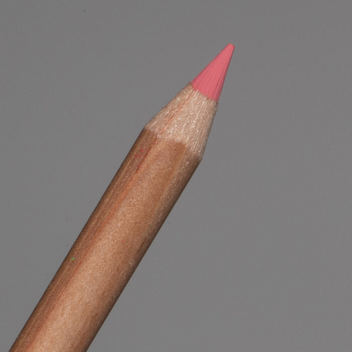 Dark Flesh Lyra Rembrandt Polycolor Coloured Pencil (30)