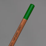 Light Green Lyra Rembrandt Polycolor Coloured Pencil (71)