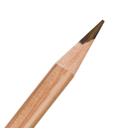 Raisin Derwent Lightfast Coloured Pencil