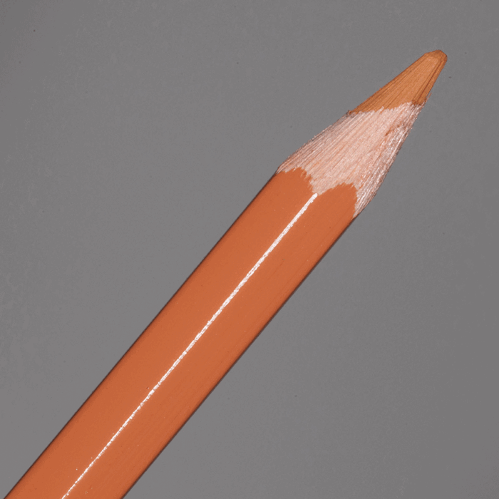 Hazel Caran d'Ache Supracolor Soft Aquarelle Colour Pencil (053)