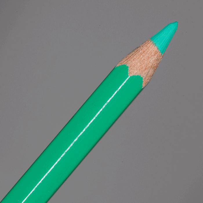 Veronese Green Caran d'Ache Supracolor Soft Aquarelle Colour Pencil (201)