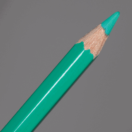 Greyish Green Caran d'Ache Supracolor Soft Aquarelle Colour Pencil (215)