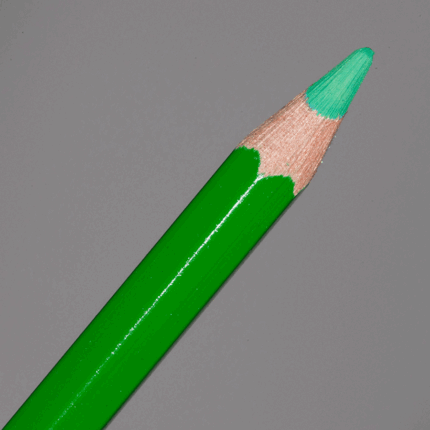 Grass Green Caran d'Ache Supracolor Soft Aquarelle Colour Pencil (220)