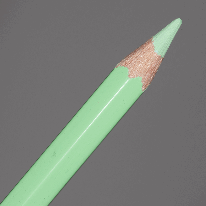 Light Green Caran d'Ache Supracolor Soft Aquarelle Colour Pencil (221)