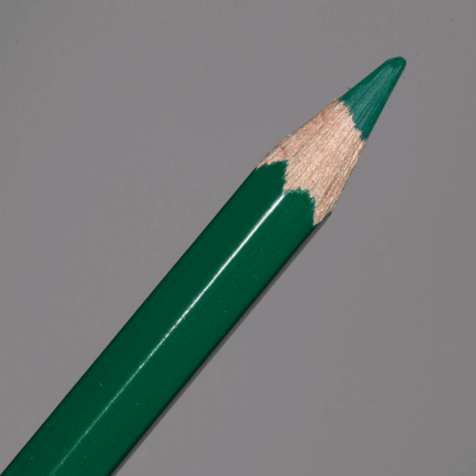 Dark Green Caran d'Ache Supracolor Soft Aquarelle Colour Pencil (229)