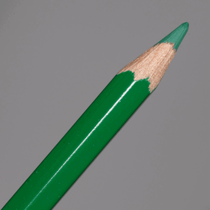 Spruce Green Caran d'Ache Supracolor Soft Aquarelle Colour Pencil (239)