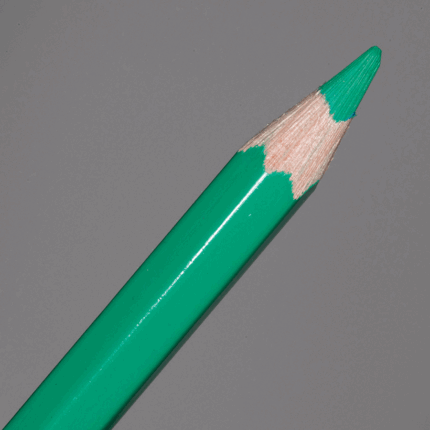 Empire Green Caran d'Ache Supracolor Soft Aquarelle Colour Pencil (290)