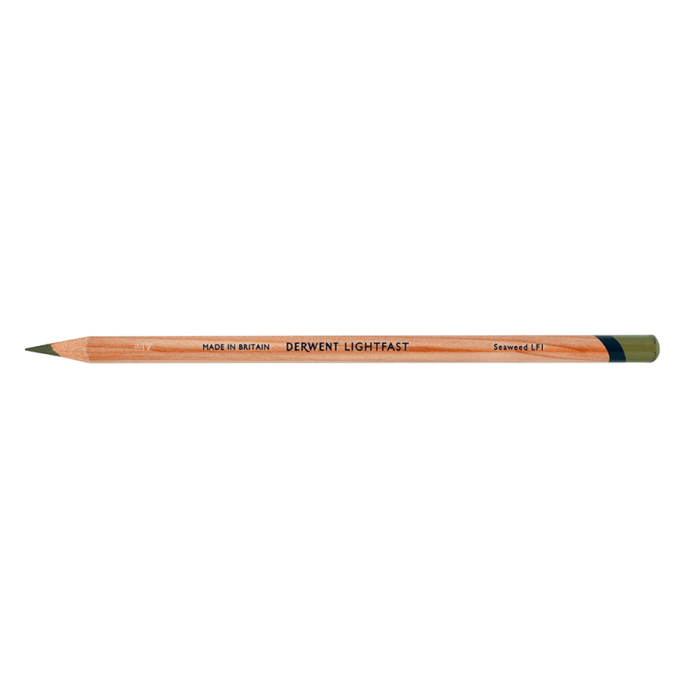 Seaweed Derwent Lightfast Coloured Pencil