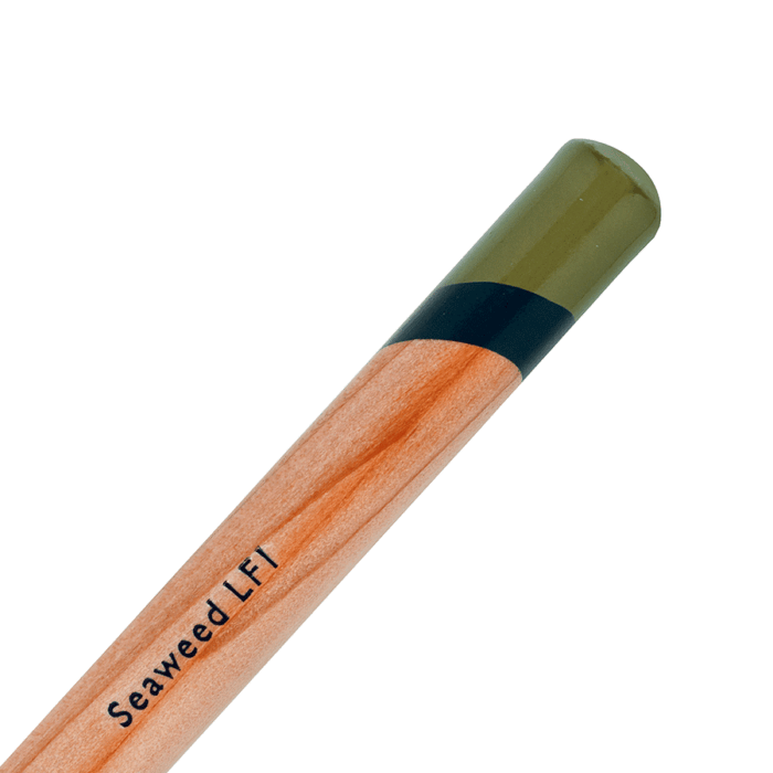 Seaweed Derwent Lightfast Coloured Pencil