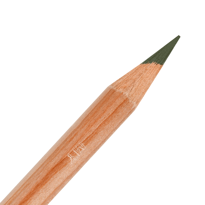 Seaweed Derwent Lightfast Coloured Pencil