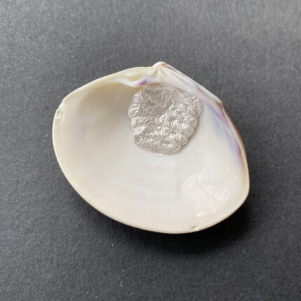 Shell (ethical mica) Shell Paint