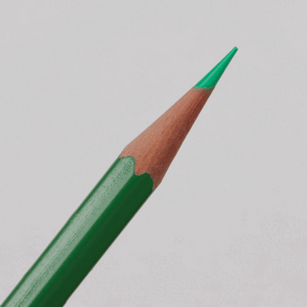 True Green Prismacolor Premier Verithin Colour Pencil (VT751)