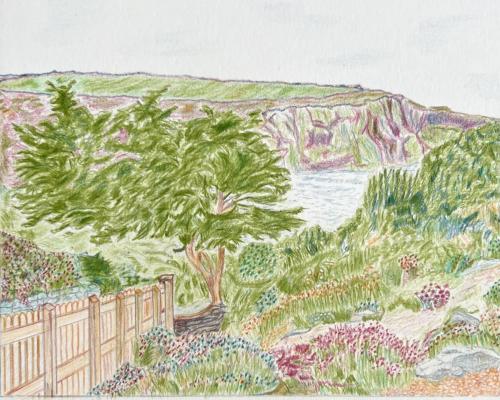 Cornish Landscape by Carol Taylor Reid