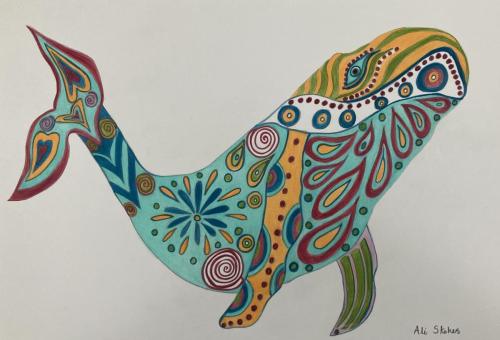 Doodle Whale by Alison Stokes